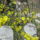 Img_0022_3_1151906_5426_t