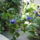 Img_0278-001_1151104_4592_t