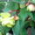 Kedvenceim_3_1151442_5711_t
