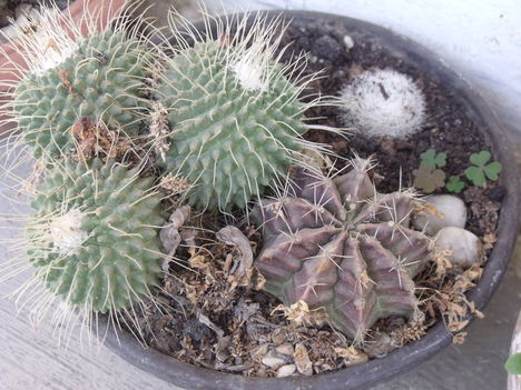 2011_05300060