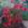 20110531_ilyen_most__ez_a_kicsi_1153011_7280_t