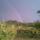 Kep011_1154901_9240_t