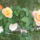 Viragok_1_1154712_9537_t