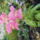 Viragok_3_1154714_1313_t