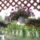 Viragok_6_1154717_2492_t