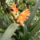 Kepek02_1155157_6580_t