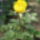 2011_05270006_1156536_9626_t