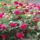 2011_05270010_1156538_9609_t