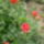 2011_05270015_1156537_6148_t