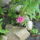 Dscn2263_1156252_4849_t