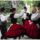 Dscf4214_1157573_1222_t
