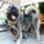David_misa_1_1158104_4516_t