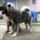 David_misa_2_1158106_3244_t