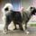 David_misa_4_1158110_3197_t