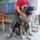 David_misa_5_1158112_9834_t