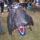 P6040061_1158620_5304_t