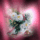 00oq052bnhj_1150103_3673_t