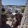 Alberobello_115803_27112_t