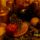 Arany2_1105059_3427_t