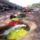 Cano_cristales__szivarvanyfolyo_colombia_1150588_6404_t