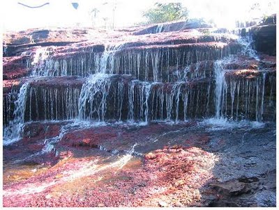 Cano-Cristales-2