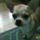 Gyonyoruseges_11_1015816_8450_t