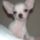 Gyonyoruseges_13_1015818_8526_t