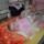 Hpim4017_1105790_8860_t