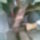 Kep089_1015220_7661_t