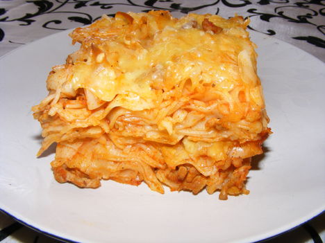 Lasagne02