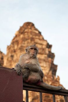 okos tekintetek Angkor Vat romja előtt
