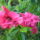 P1010904_1150363_4051_t