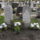 Temetoi_kepek-066_115323_73012_t