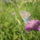 P6060117_1161832_6818_t