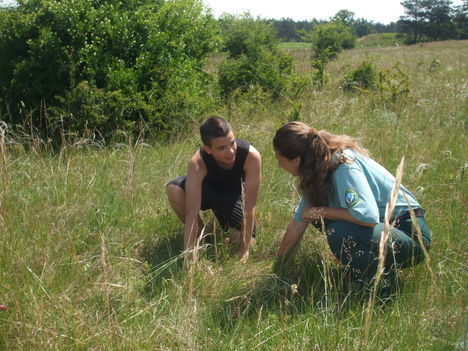 Sajó Károly Kárpát-medencei környezetvédelmi csapatverseny 2011. Gönyű 1