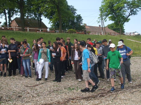 Sajó Károly Kárpát-medencei környezetvédelmi csapatverseny 2011. Gönyű 2