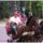 Dscf4607_1163985_8366_t
