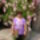 Dsc02951_1164834_7437_t