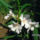 Leander-001_1164273_5709_t