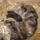 Dscn2230_1166681_9439_t