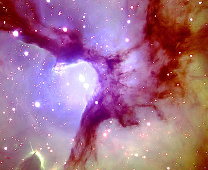 trifid_gemini