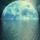 7_1167545_3852_t