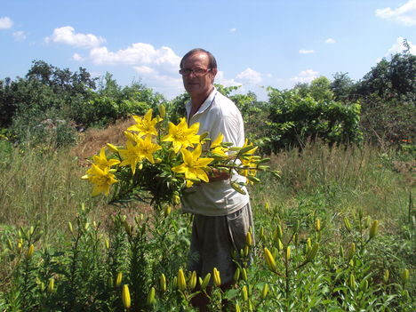 kertünkből 2011