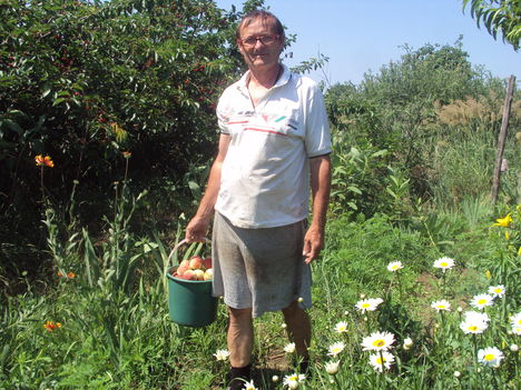 kertünkből 2011
