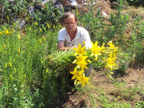 kertünkből 2011