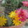 2011_06150002_1168696_2764_t