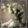 3610853__ket_galamb_a_virag_alatt_1168850_5637_t