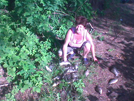 Tisza-tó 2