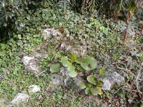 2011. tavasz 10