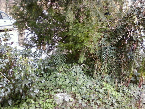 2011. tavasz 11